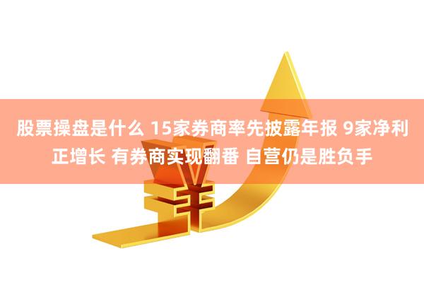 股票操盘是什么 15家券商率先披露年报 9家净利正增长 有券商实现翻番 自营仍是胜负手