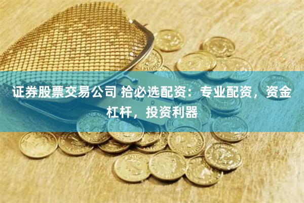 证券股票交易公司 拾必选配资：专业配资，资金杠杆，投资利器